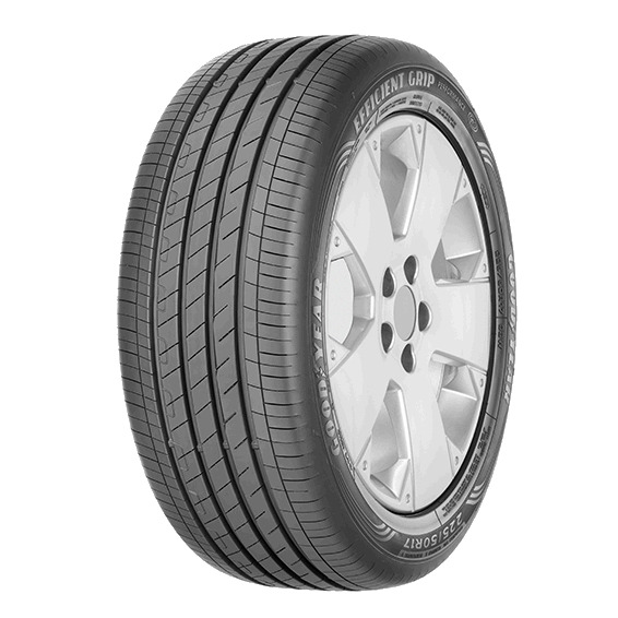 Lốp Goodyear 255/45R20 EFFICIENTGRIP Luxembourg